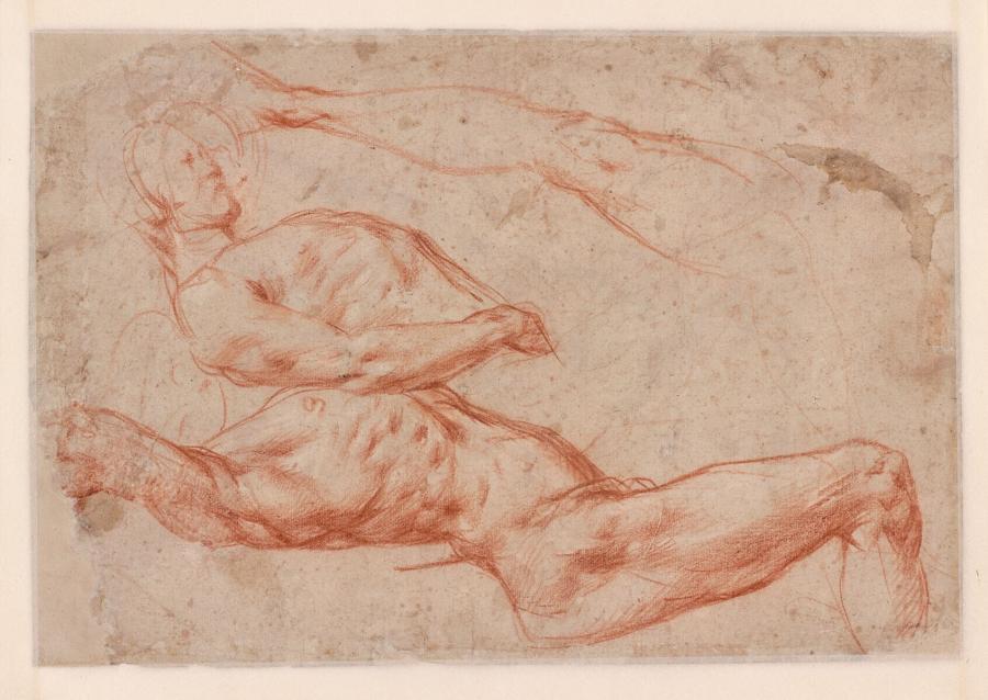 Studies voor de dode Christus in een piëta