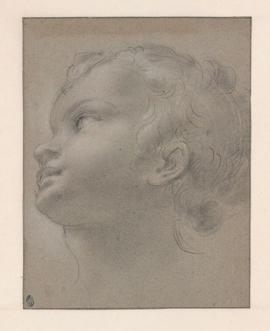 Head of a Child Looking Left