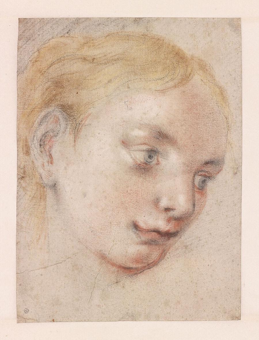 Study for the Head of a Young Woman