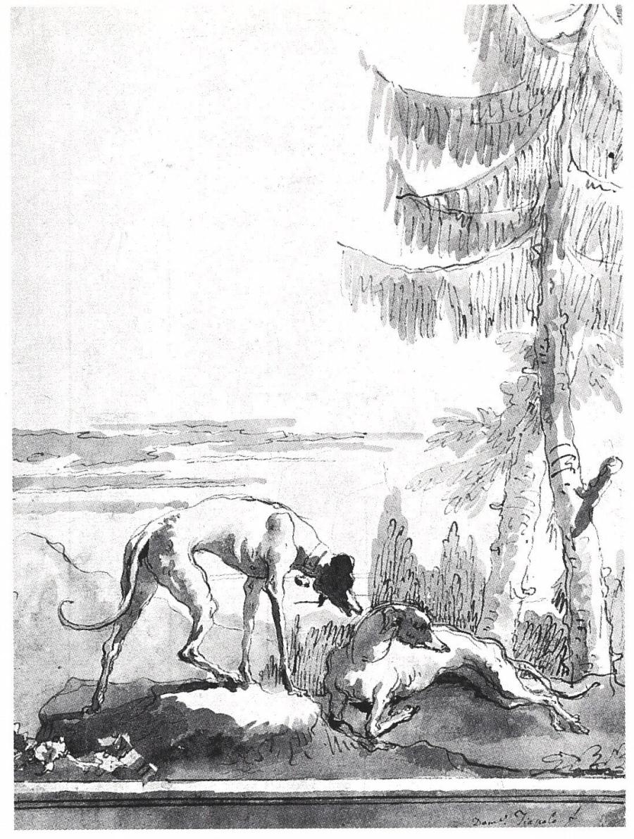 Two Hunting Dogs in a Landscape
