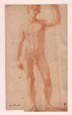 standing-nude-youngster