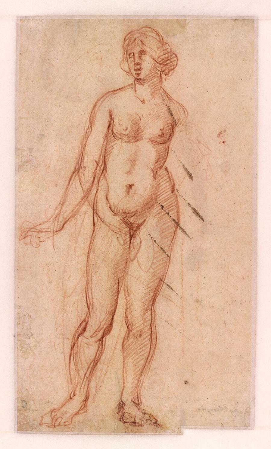 Standing Female Nude