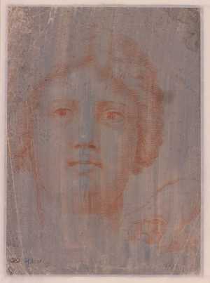 kop-van-een-vrouw