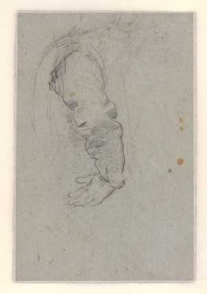 studie-van-een-arm