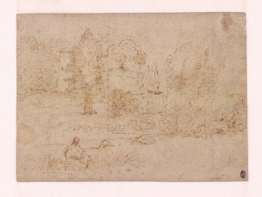 Landscape with Ducks