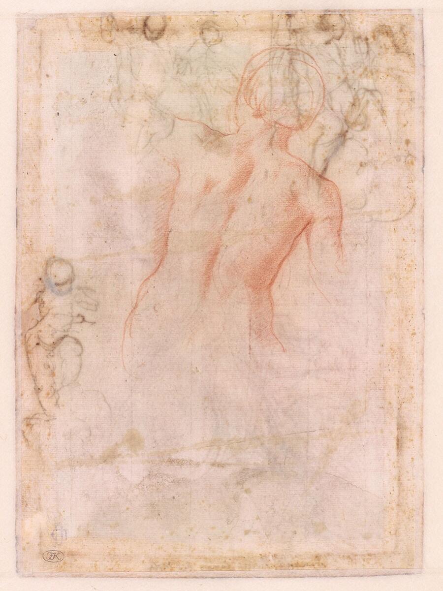 Study of a Woman's Back