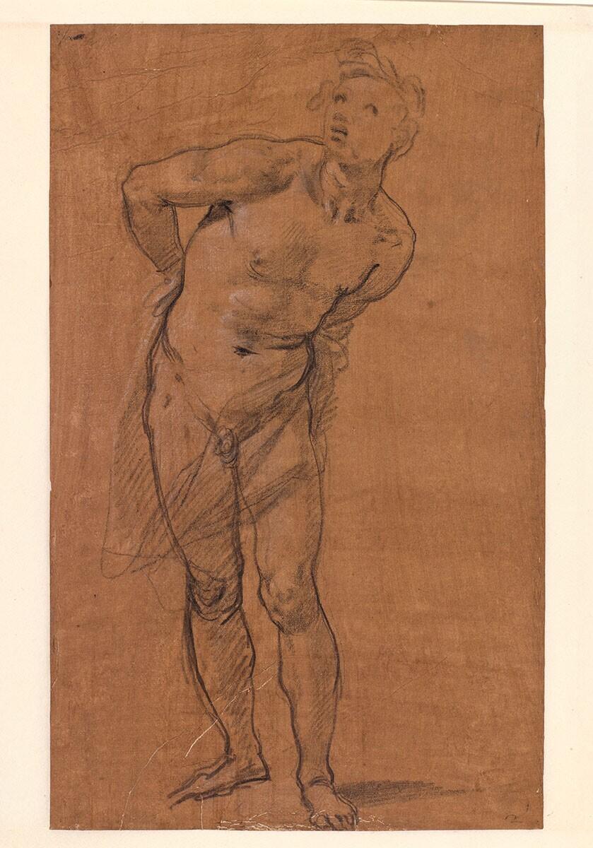 Study for a St Sebastian