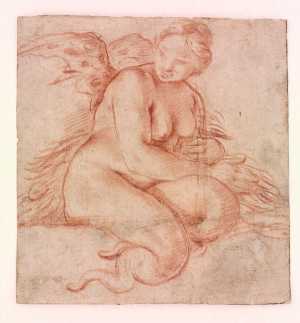 seated-harpy