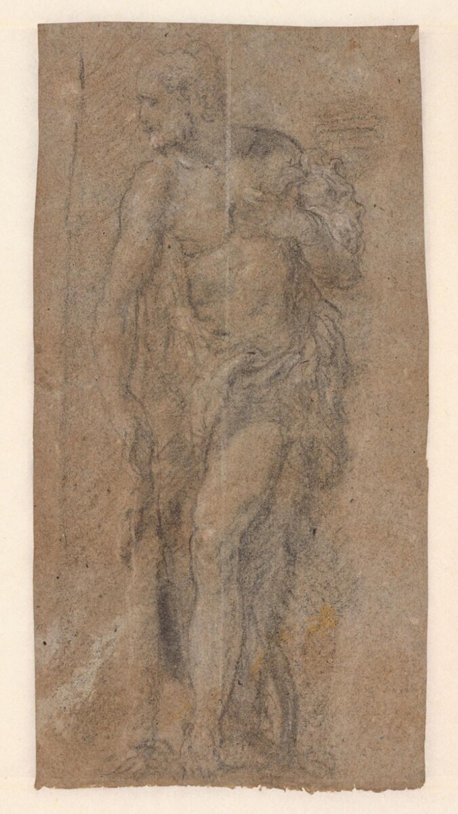 Study of Hercules