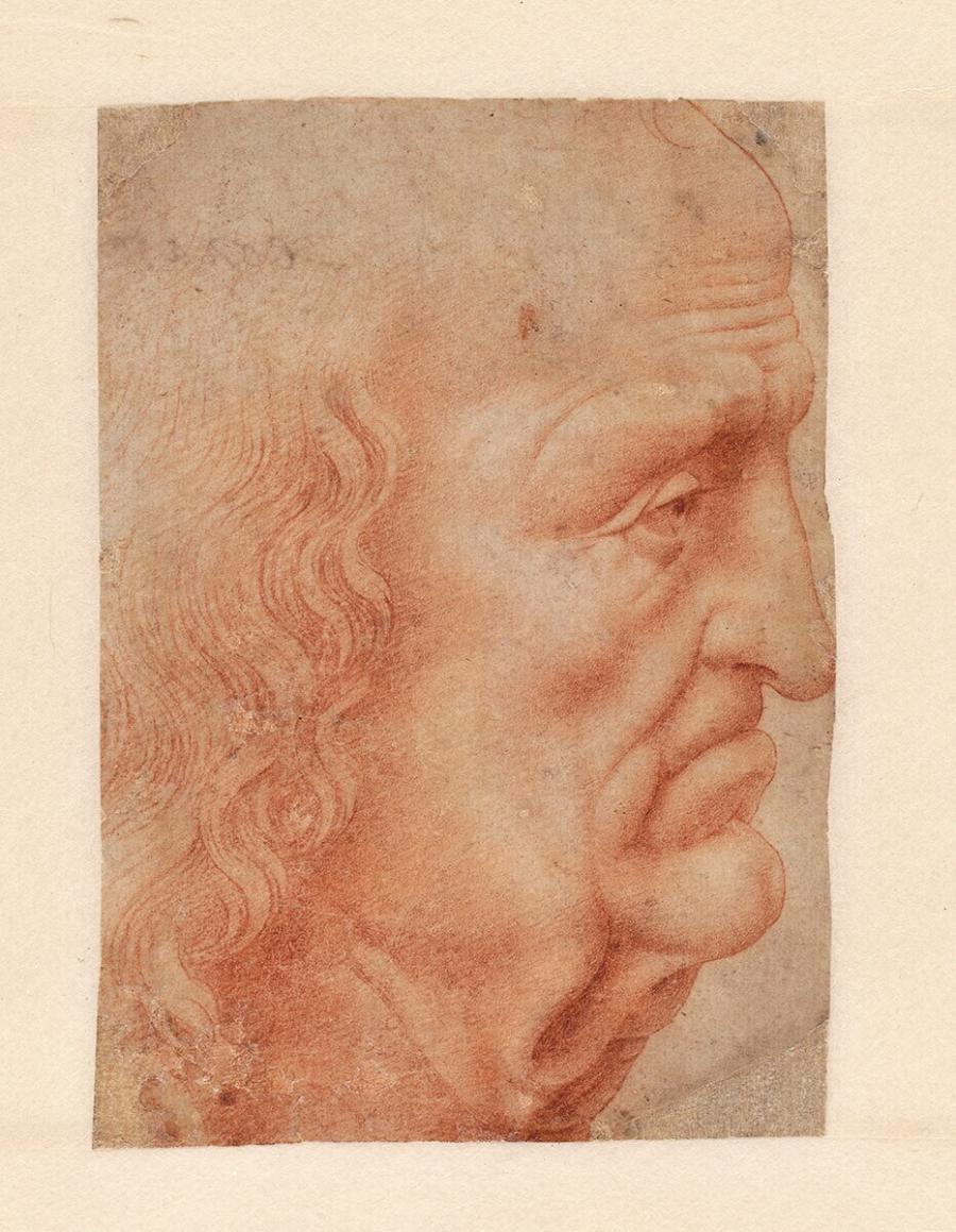 Head of an Old Man in Profile to the Right