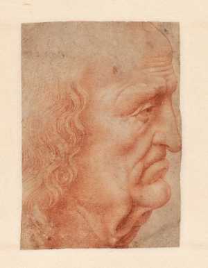 head-of-an-old-man-in-profile-to-the-right