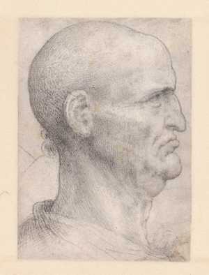 warrior-type-head-in-profile-to-the-right
