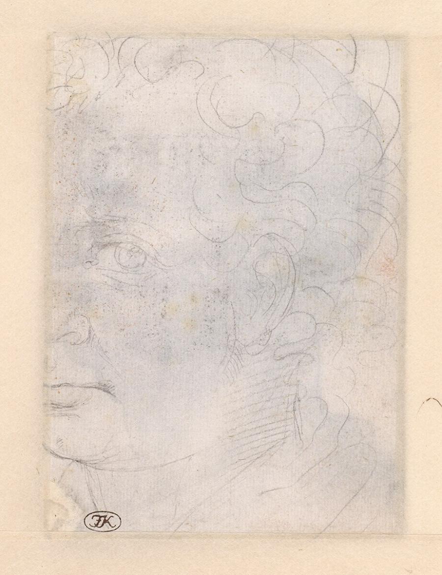 Man's Head from Left