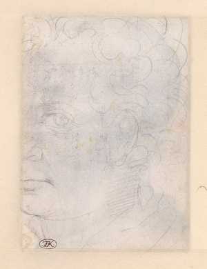 man-s-head-from-left