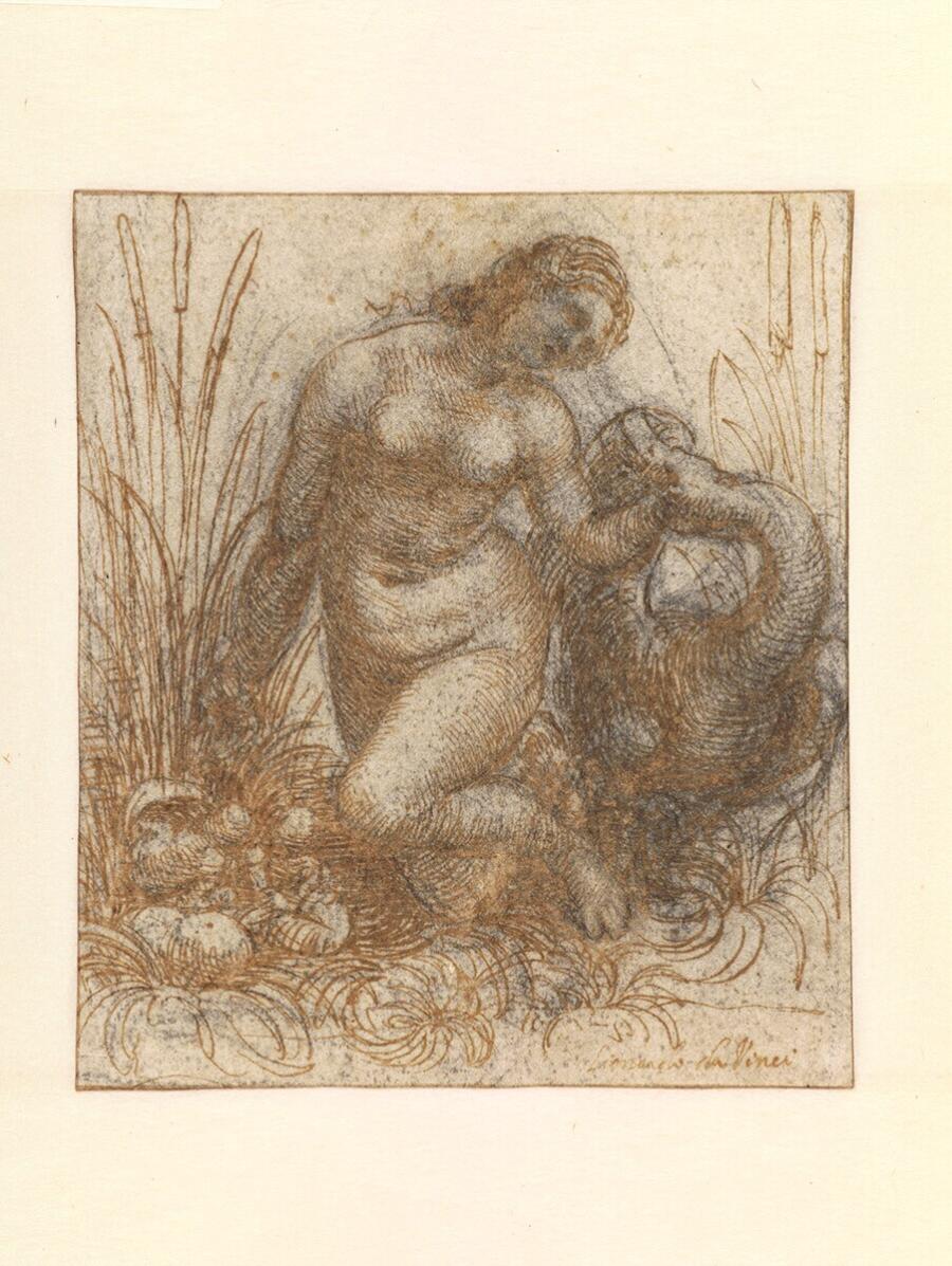 Leda and the Swan