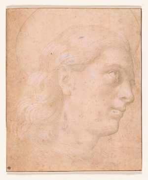 hoofd-van-de-heilige-juliaan