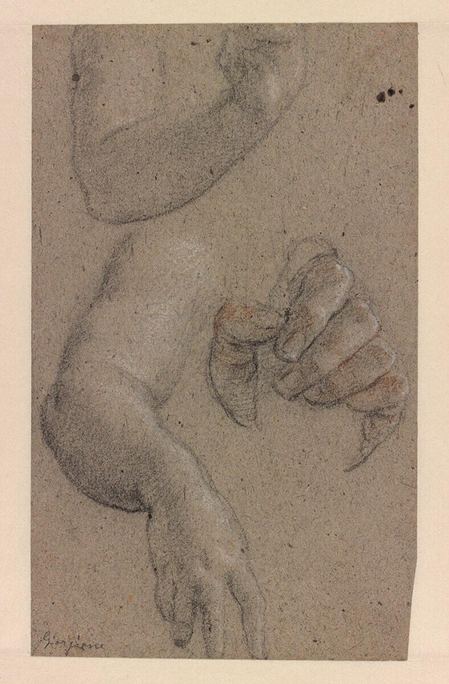Studie van twee armen en een hand