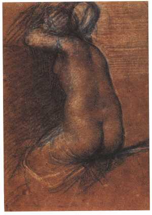 female-nude-seen-from-behind