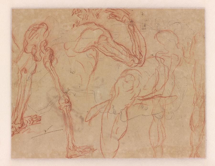 Hoofd van een vrouw en vier anatomische studies