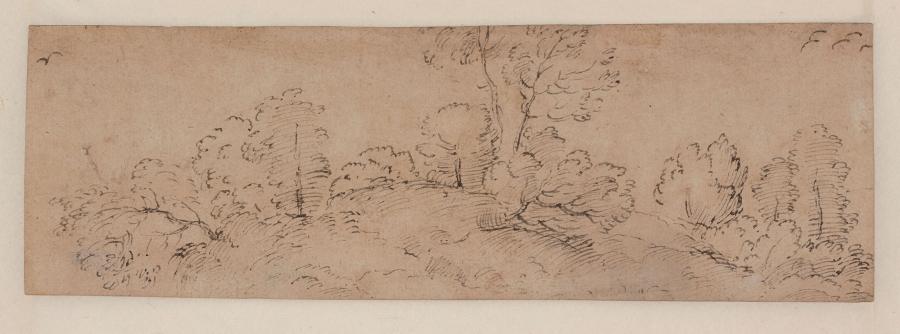 Study of Trees
