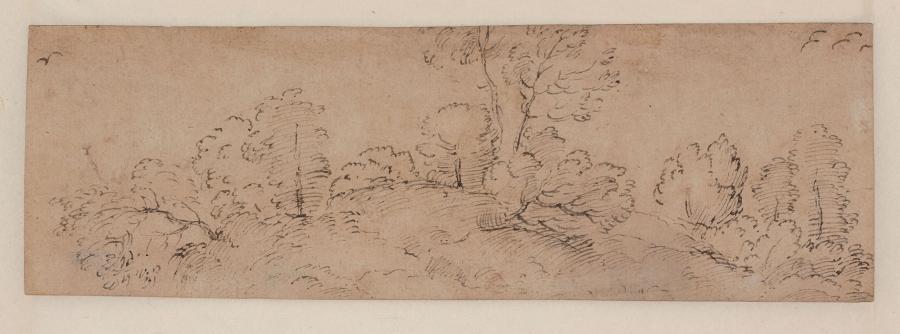 Study of Trees