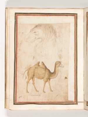 folio-uit-het-gozzoli-album-adelaarskop-en-een-kameel-beide-in-profiel