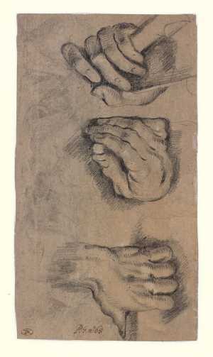 studies-van-handen