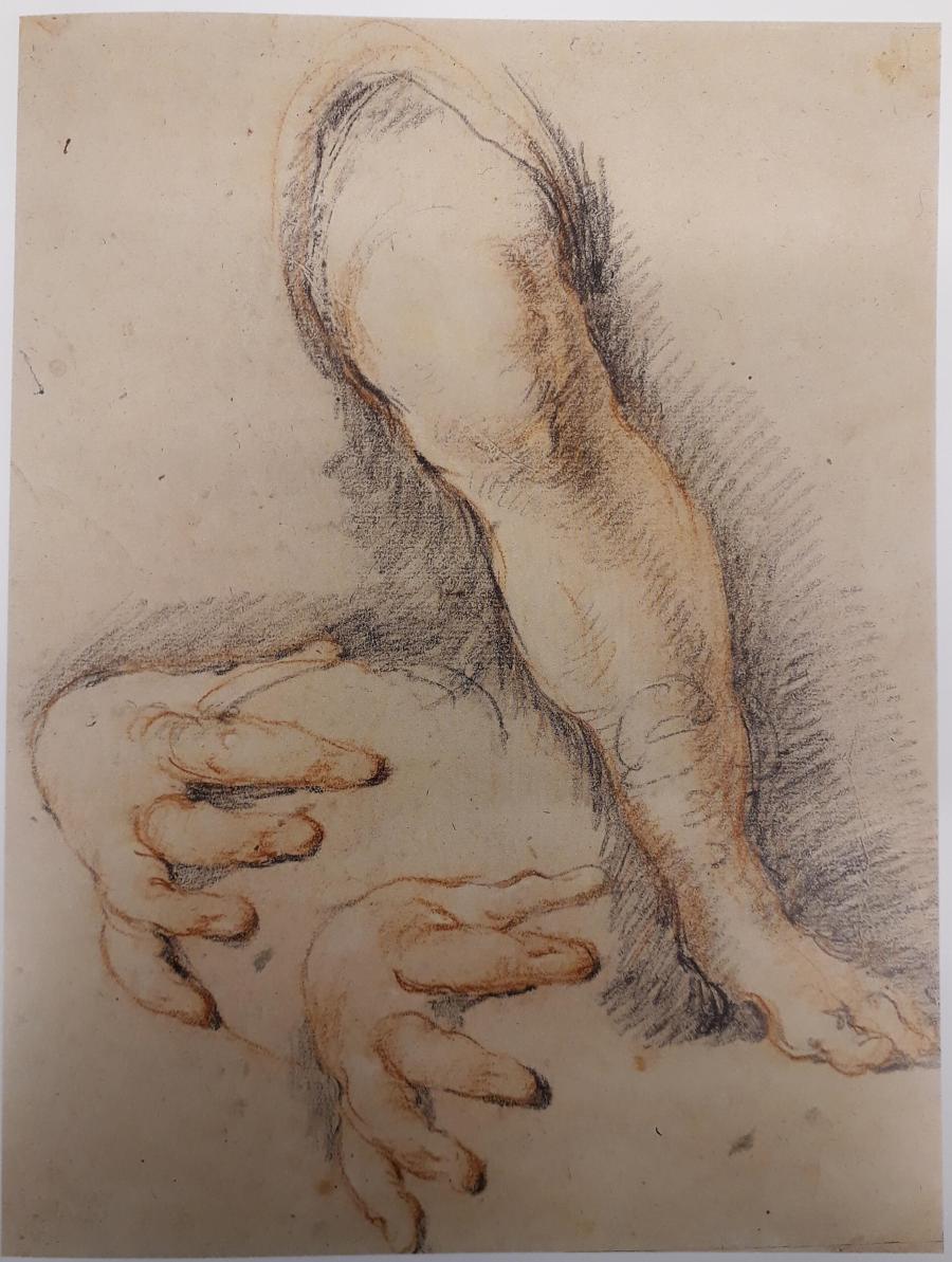 Studies van een linker been en een rechter hand