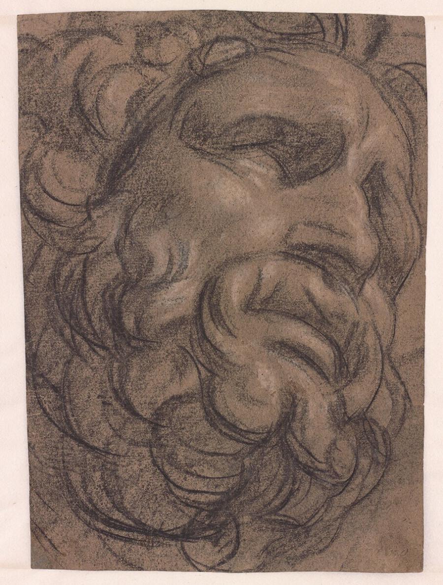 Studie van het hoofd van Laocoön