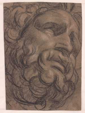 studie-naar-een-afgietsel-van-het-hoofd-van-laocoon-in-de-antieke-laocoon-beeldengroep-musei-vaticani