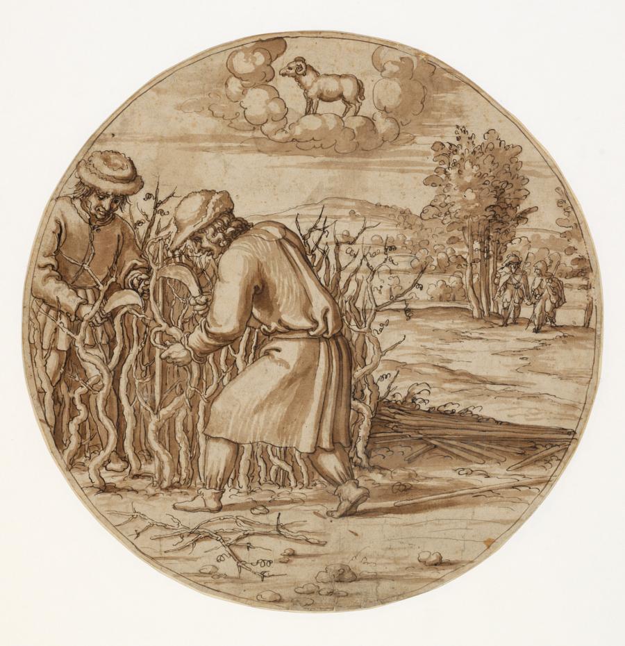 The Month March: Pruning the Grapevine