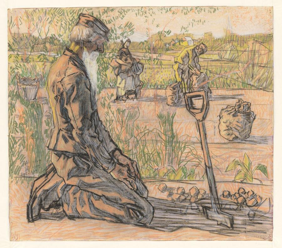 Potato Harvester