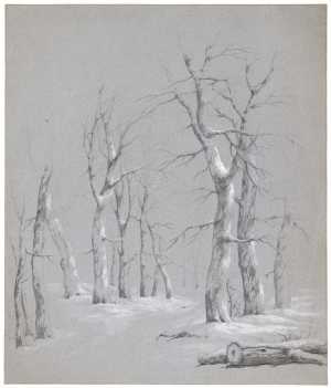 study-of-trees-winter-scene-in-the-hague-forest
