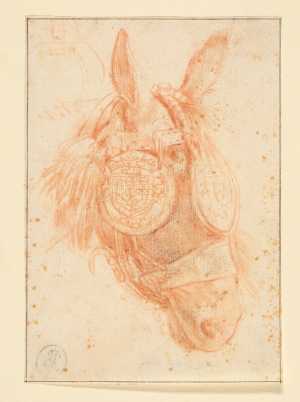 the-head-of-a-mule-with-harness