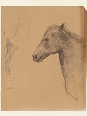 sketch-of-a-horse-s-head-and-leg
