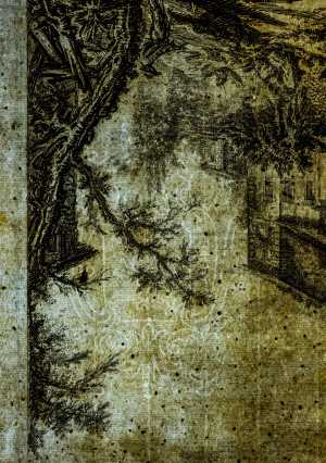 TMSFoto/PK/L 1955-13 (PK)_2.jpg