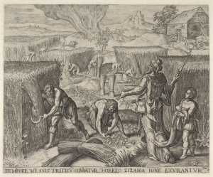 the-burning-of-the-tares-the-harvest-of-the-wheat
