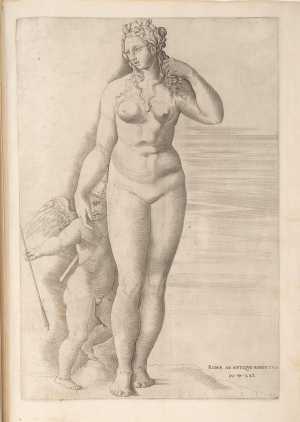 venus-en-amor