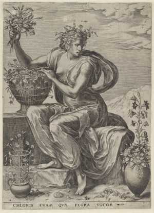 flora