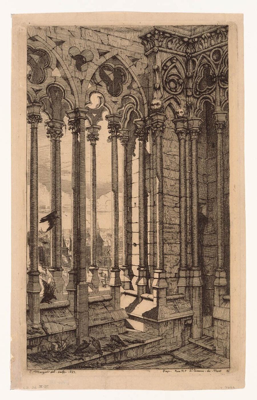Zuilengalerij van Notre-Dame en vergezicht over Parijs