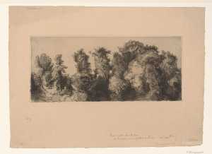boomtoppen-in-het-park-van-de-oude-fabriek-te-sevres