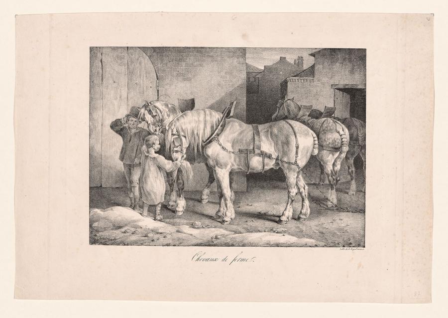 Chevaux de ferme