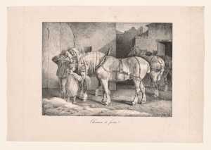 chevaux-de-ferme-boerderijpaarden