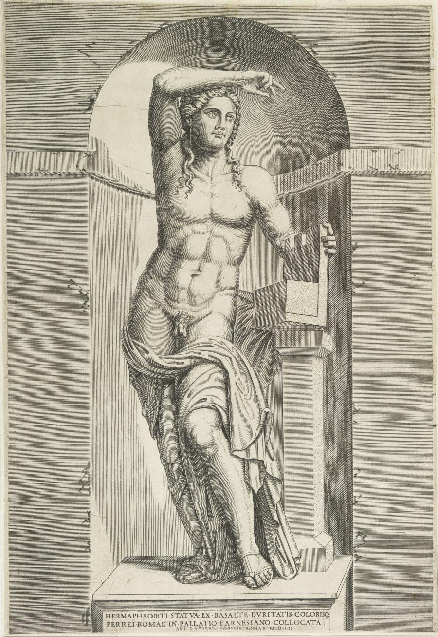 Hermaphroditus (Hermaphroditus)