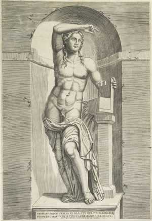 hermaphroditus-hermaphroditus