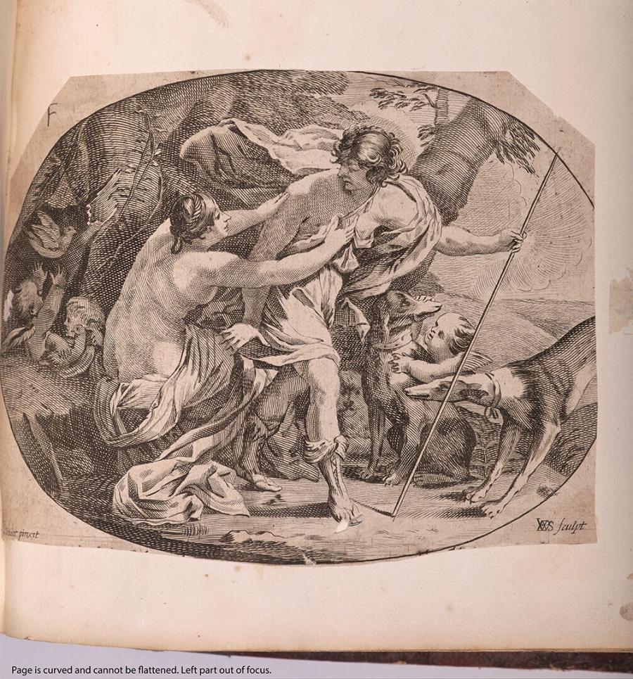 Venus and Adonis