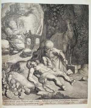 the-good-samaritan