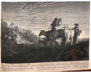 de-witte-koe
