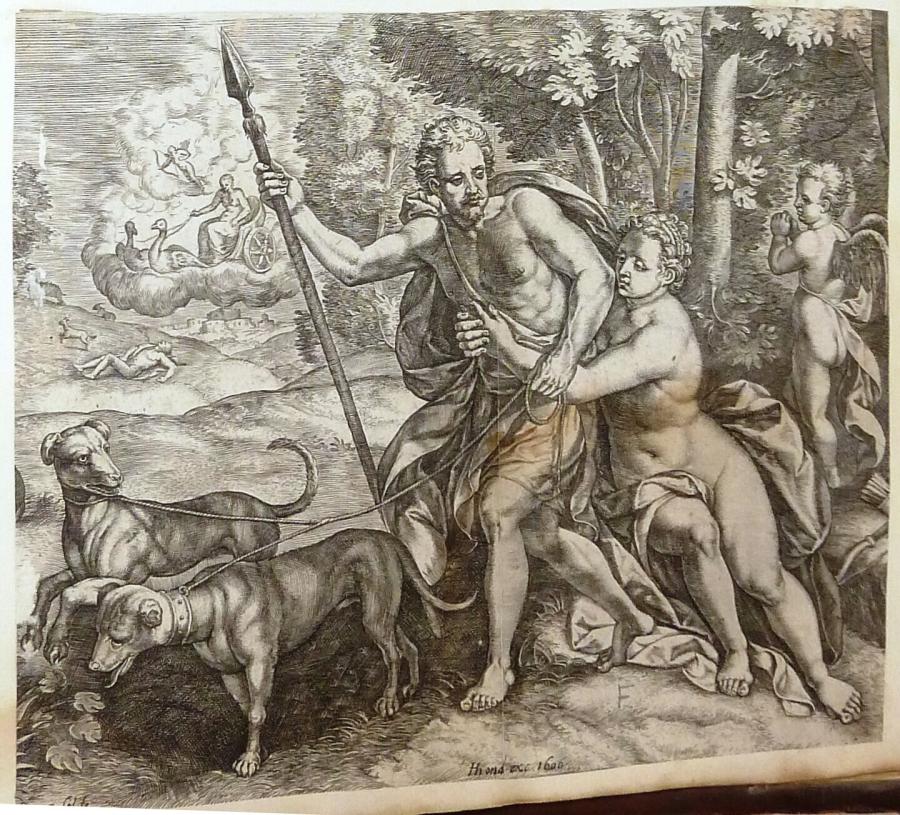Venus and Adonis