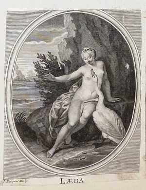 laeda